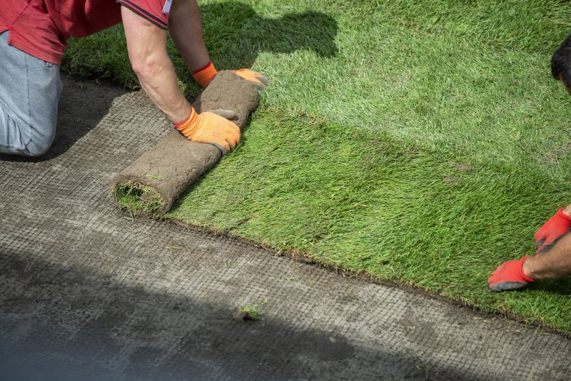 Artificial Turf Installation